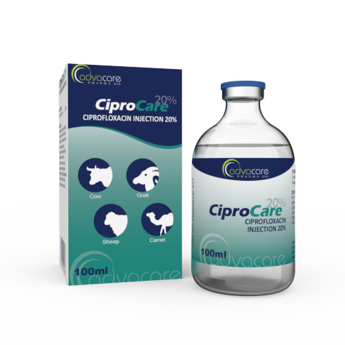 ciprofloxacin où acheter