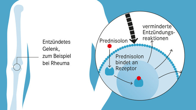 Prednisolone Mylan Generique