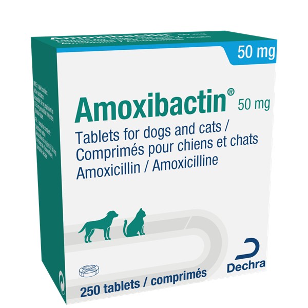 Amoxicilline où acheter