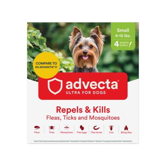 Achat Levitra Super Active