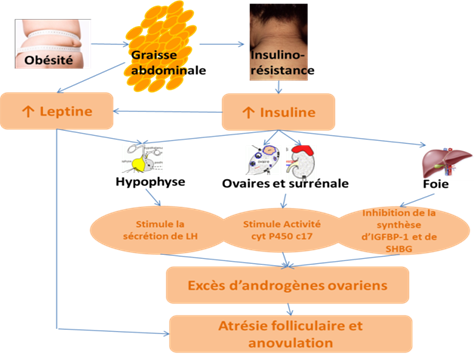 acheter metformine sans ordonnance