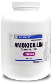 Amoxicillin pbs online