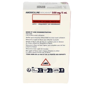 Amoxicilline 500 Mg Sans Ordonnance