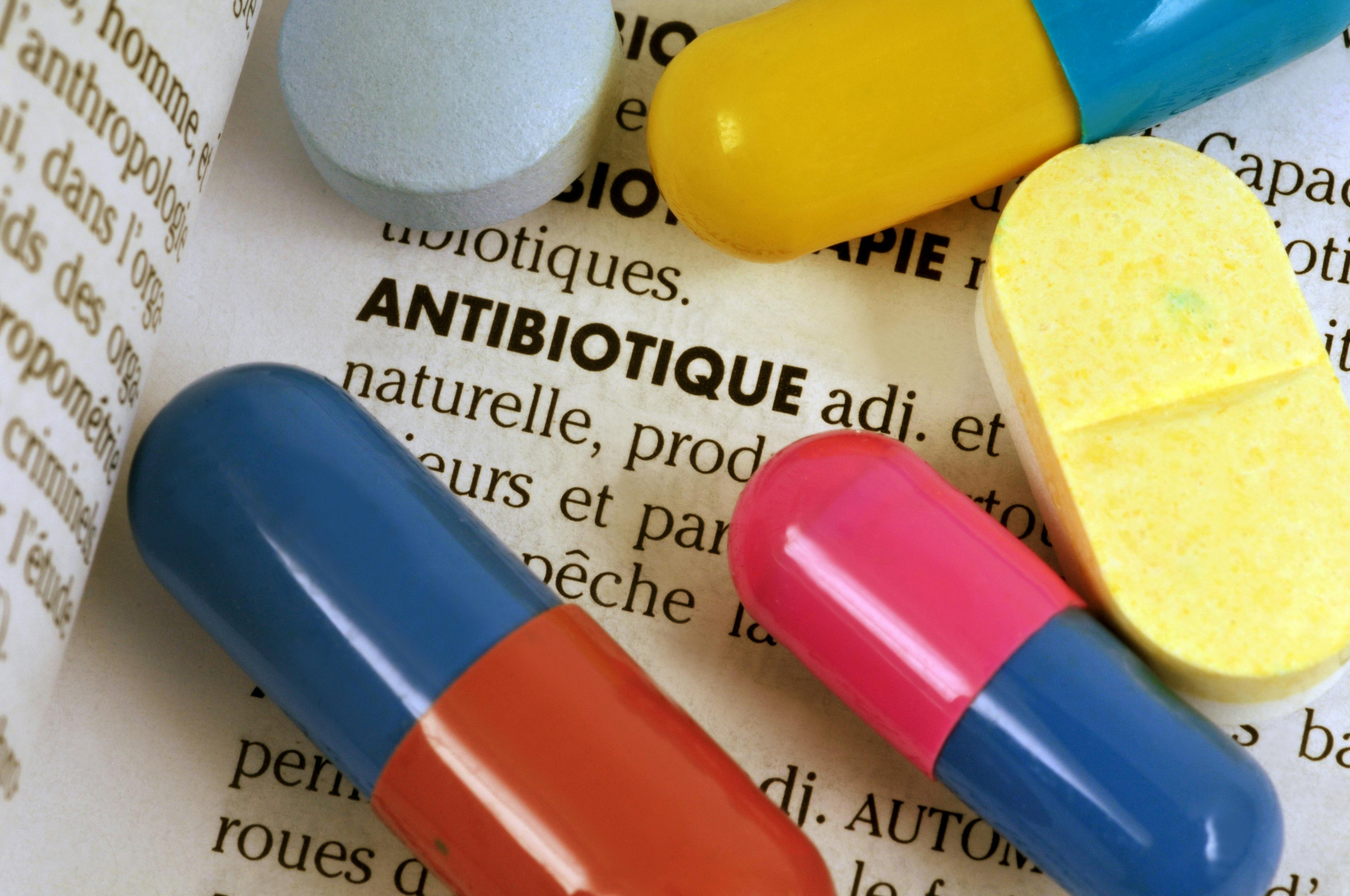 amoxicilline zydus france 500 mg