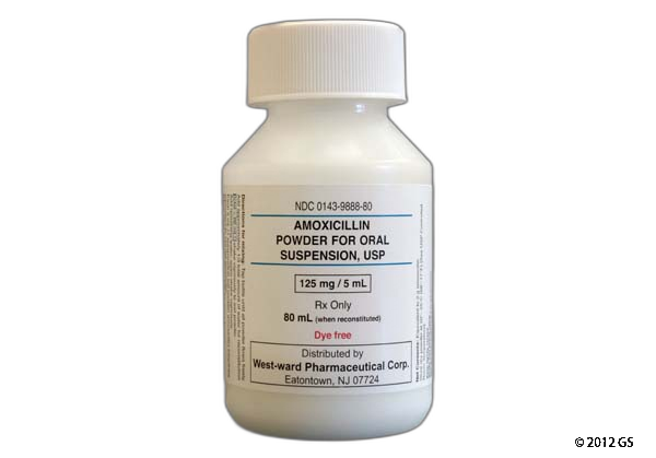 Amoxil Prix