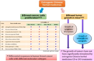 Coût du tamoxifen