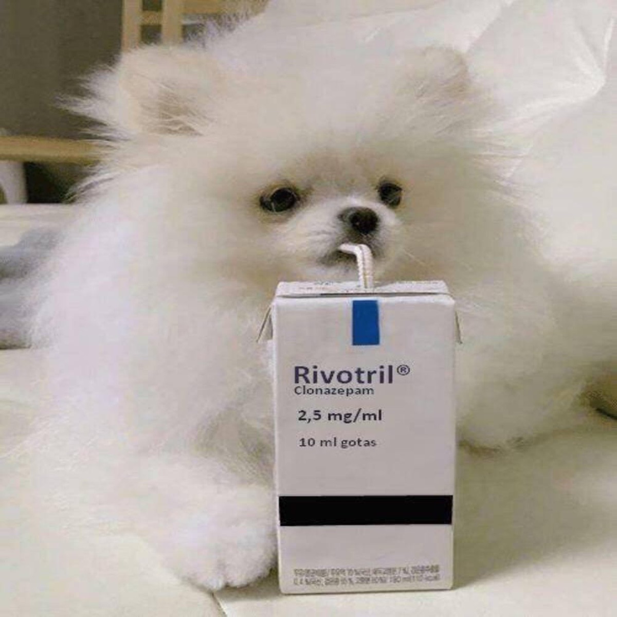 Rivotril 2 mg france Rivotril 2 mg france