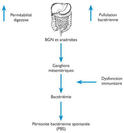 Ciprofloxacin pbs online Ciprofloxacin Pbs Online