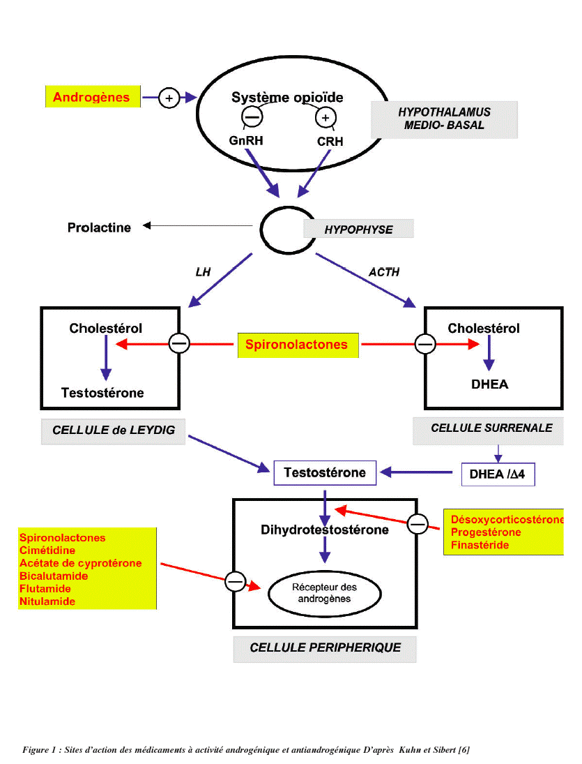 Coût du finasteride