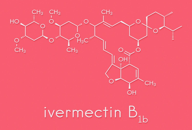 Coût Ivermectine