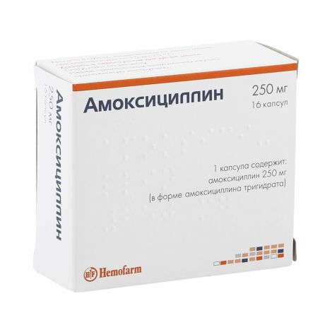 amoxicilline pilule leeloo
