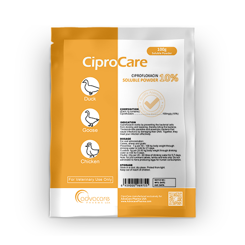 Ciplox prix