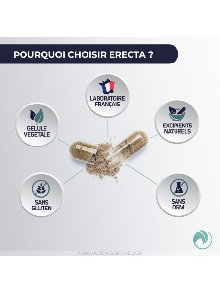 Prix du erectafil