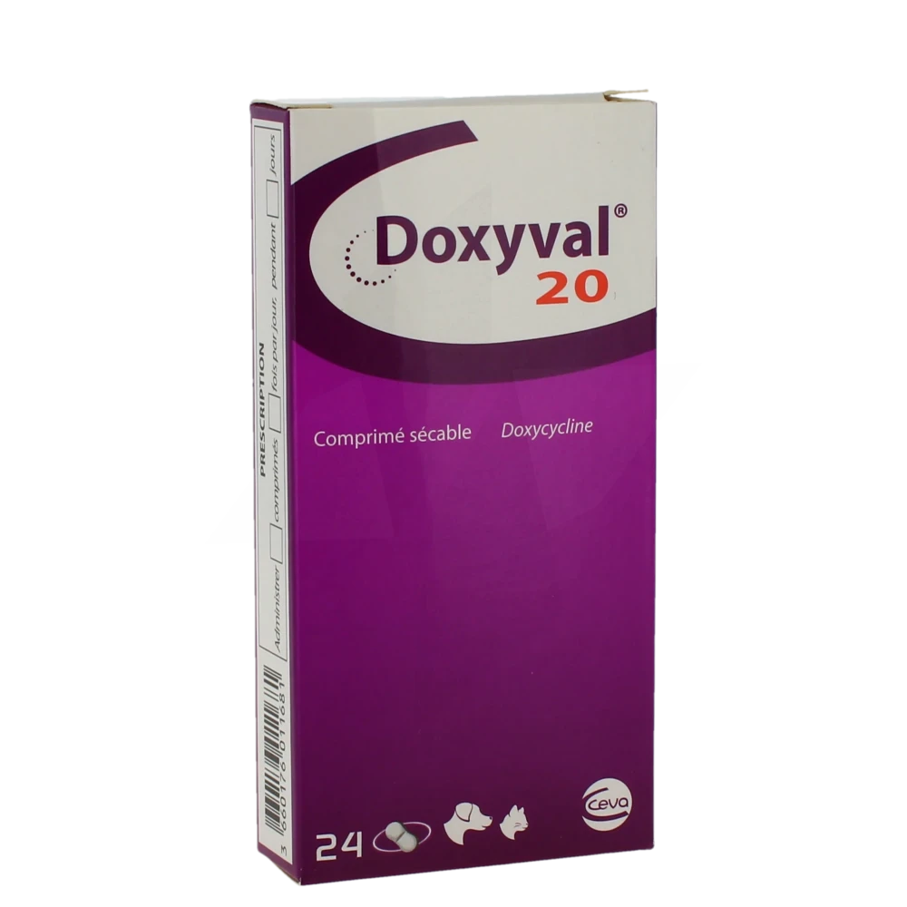 doxycycline pour chat prix