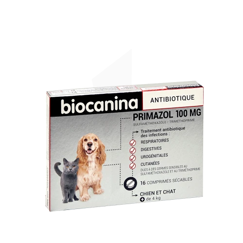 Doxycycline 100mg online