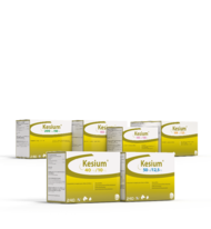amoxicilline pour chien prix