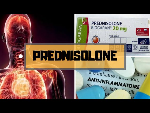 Prednisolone Zentiva Generique De Quoi