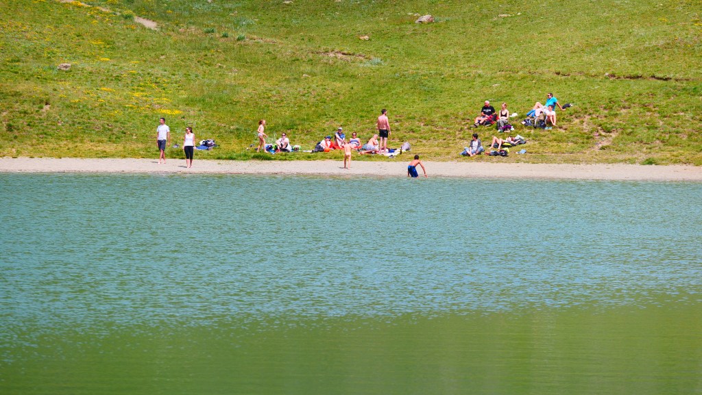 silvitra où acheter