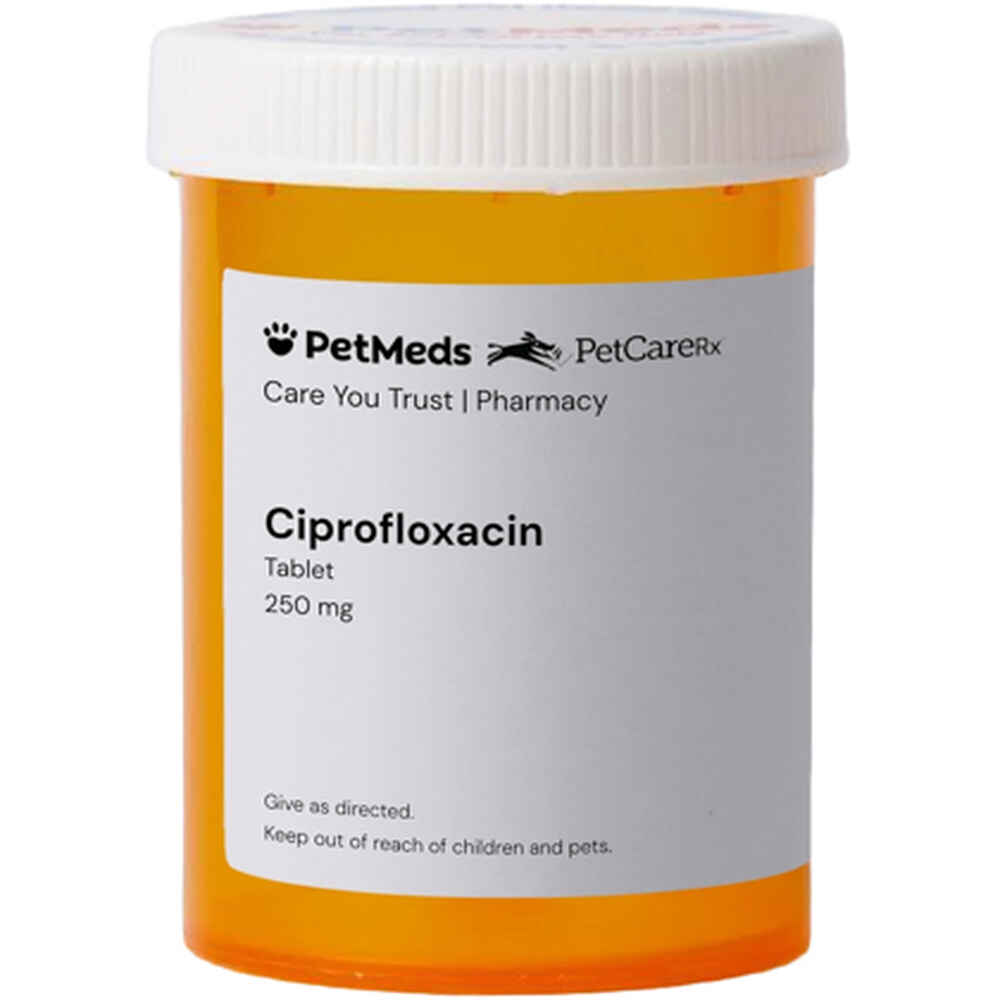 Ciprofloxacin usp 500 mg ciprofloxacin usp 500 mg