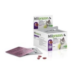 Forzest 40mg online