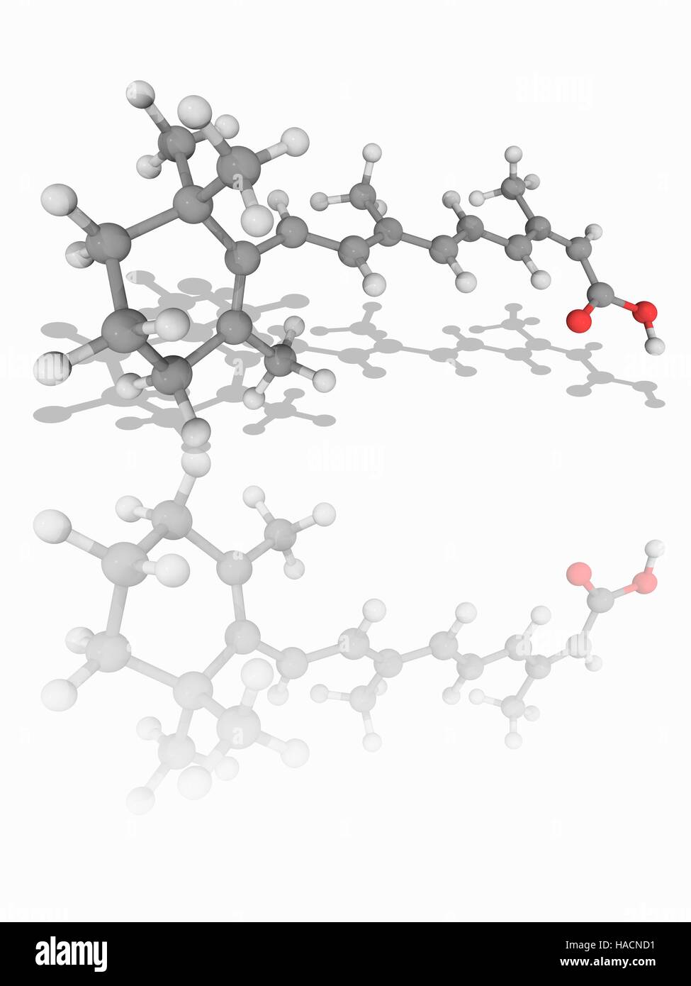 Isotretinoin pilules Isotretinoin pilules