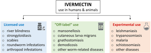 Ivermectin 6mg uk
