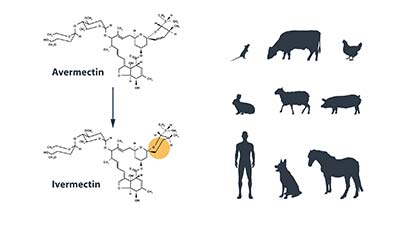 ivermectin bon marché