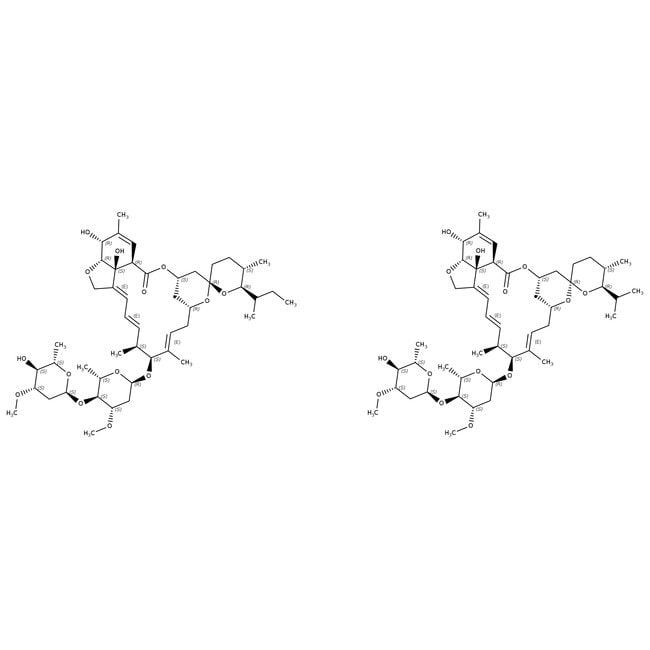 Ivermectin compra online