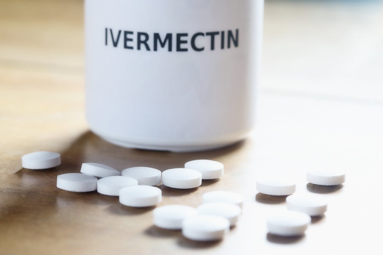 ivermectine pilule