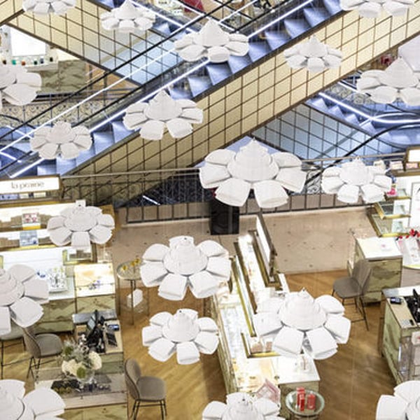 Nucynta Bon Marché