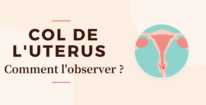 Ou Acheter Du Clomid