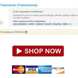 Prednisolone 20 achat