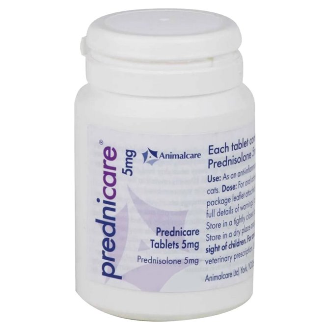 prednisolone 5mg chat prix Prednisolone 5mg chat prix