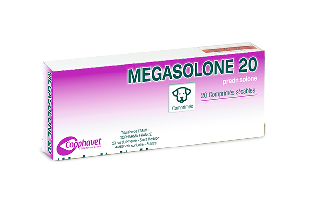 Prednisolone En France