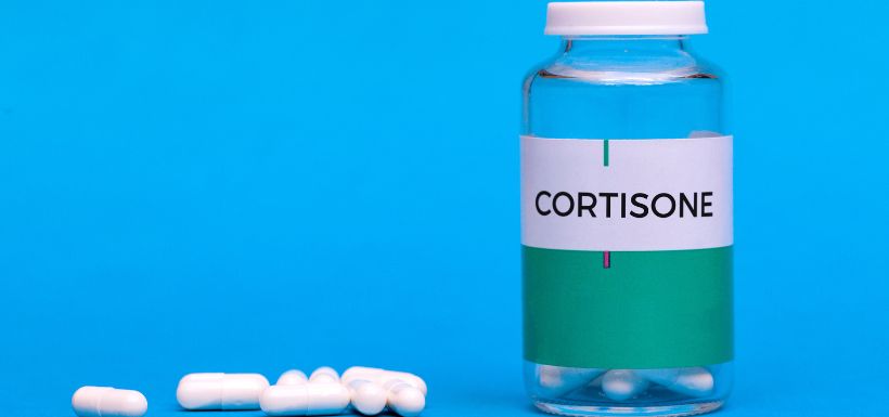 Prednisolone En France