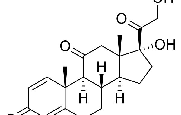 Prednisolone Zentiva Generique De Quoi