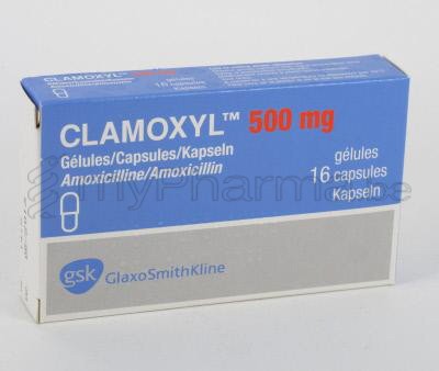 prix amoxicilline sirop