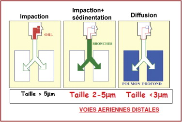 Salbutamol Aerosol Generique Salbutamol Aerosol Generique
