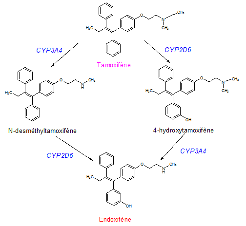 Tamoxifen Générique
